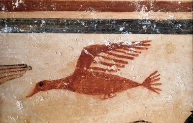 Un oiseau (détail de fresque, 530 av. J.-C.)