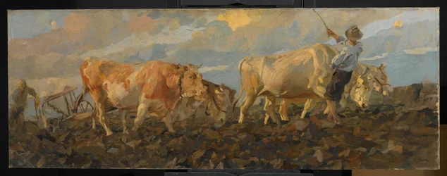 Bœufs labourant, 1911