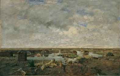 Grand paysage de lande