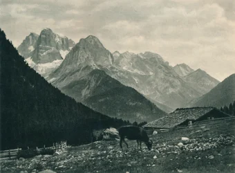 Vue du groupe de Brenta avec pâturage alpin, Madonna di Campiglio, Dolomites, Italie, 1927