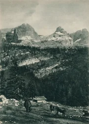 Vue du groupe de Brenta avec pâturage alpin, Madonna di Campiglio, Dolomites, Italie, 1927