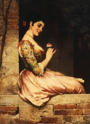 La rose rose