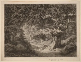 Le Charlemagne, forêt de Fontainebleau