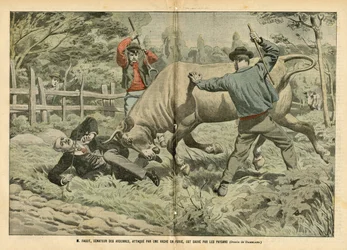 Illustration d