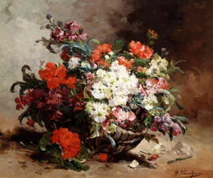 Fleurs d