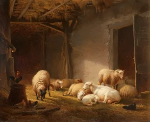 Une grange ensoleillée avec des brebis, des agneaux et des poules