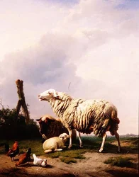 Moutons et volailles dans un paysage