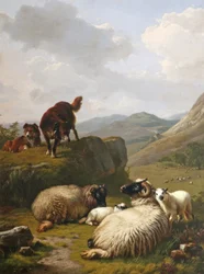 Moutons et chiens