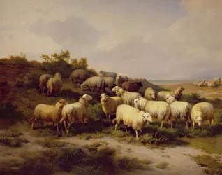 Moutons sur la côte, 1878