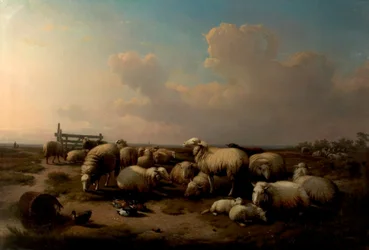 Les moutons