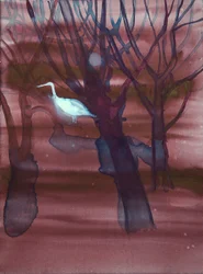 Grue blanche