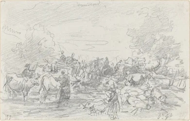 Troupeaux traversant un ruisseau