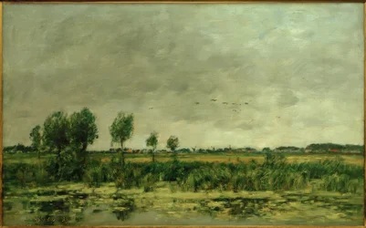 Marais près de Honfleur