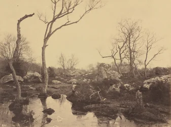 Belle Croix,c. 1858 (photo)