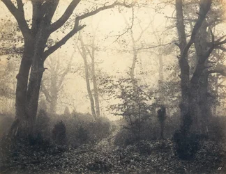 Forêt de Fontainebleau, début des années 1860