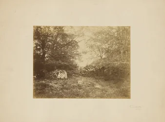 [Étude de paysage]