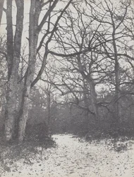 Route dans la forêt, 1860-1863