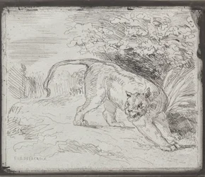 Un Tigre Piégé