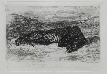 Tigre accroupi dans le désert