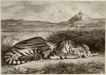 Tigre royal