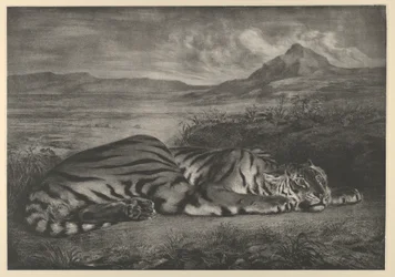 Tigre royal, 1829