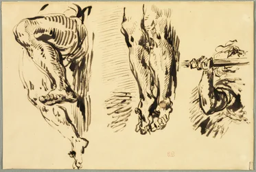 Étude des bras et des jambes du Christ crucifié