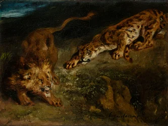 Tigre et lion