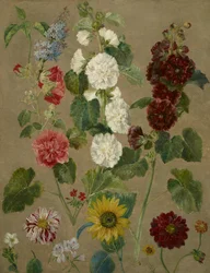 Sans titre [fleurs]