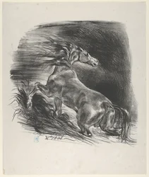 Cheval sauvage, 1828