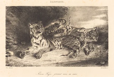 Jeune tigre jouant avec sa mère