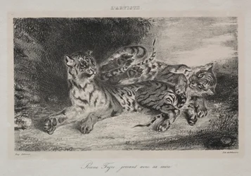 Jeune tigre jouant avec sa mère
