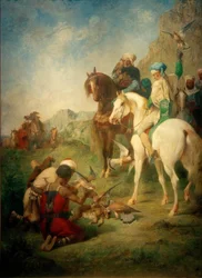 Chasse au faucon en Algérie