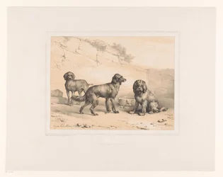 Trois chiens