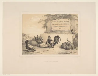 Titre avec poules, lapins et une colombe