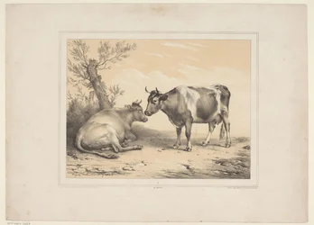 Deux vaches