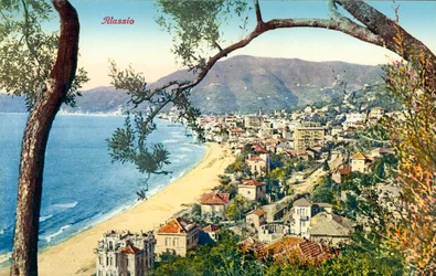 Vue d