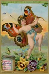 Chérubin Papillon avec des Pensées