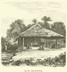 Case brésilienne