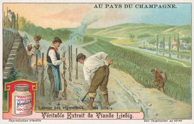 Champagne, carte de Liebig, début du 20e siècle (chromo)
