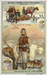 Fourrure : lynx canadien; ours et opossum