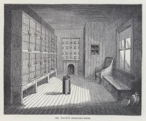 Salle d