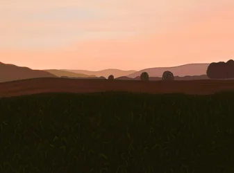 Champ de maïs, vallée de l