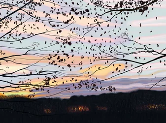 Hawk On Branch, prospect park (art numérique)