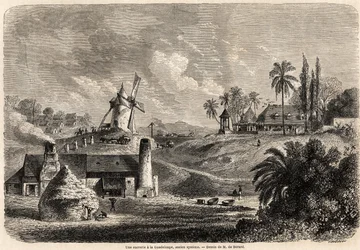 Une usine de sucre en Guadeloupe, dessin d