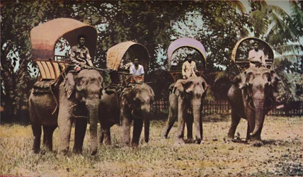 Siam