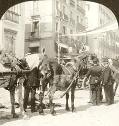 Carrosse d