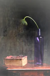 Fleur fanée et livre