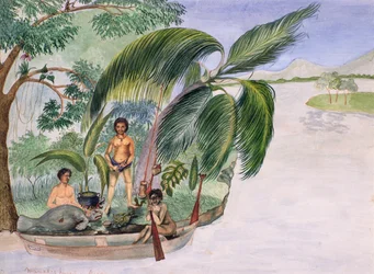 Chasse au manati