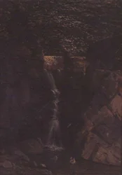 Cascade dans un paysage boisé