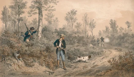 Chasses à Tir, Battue en Forêt